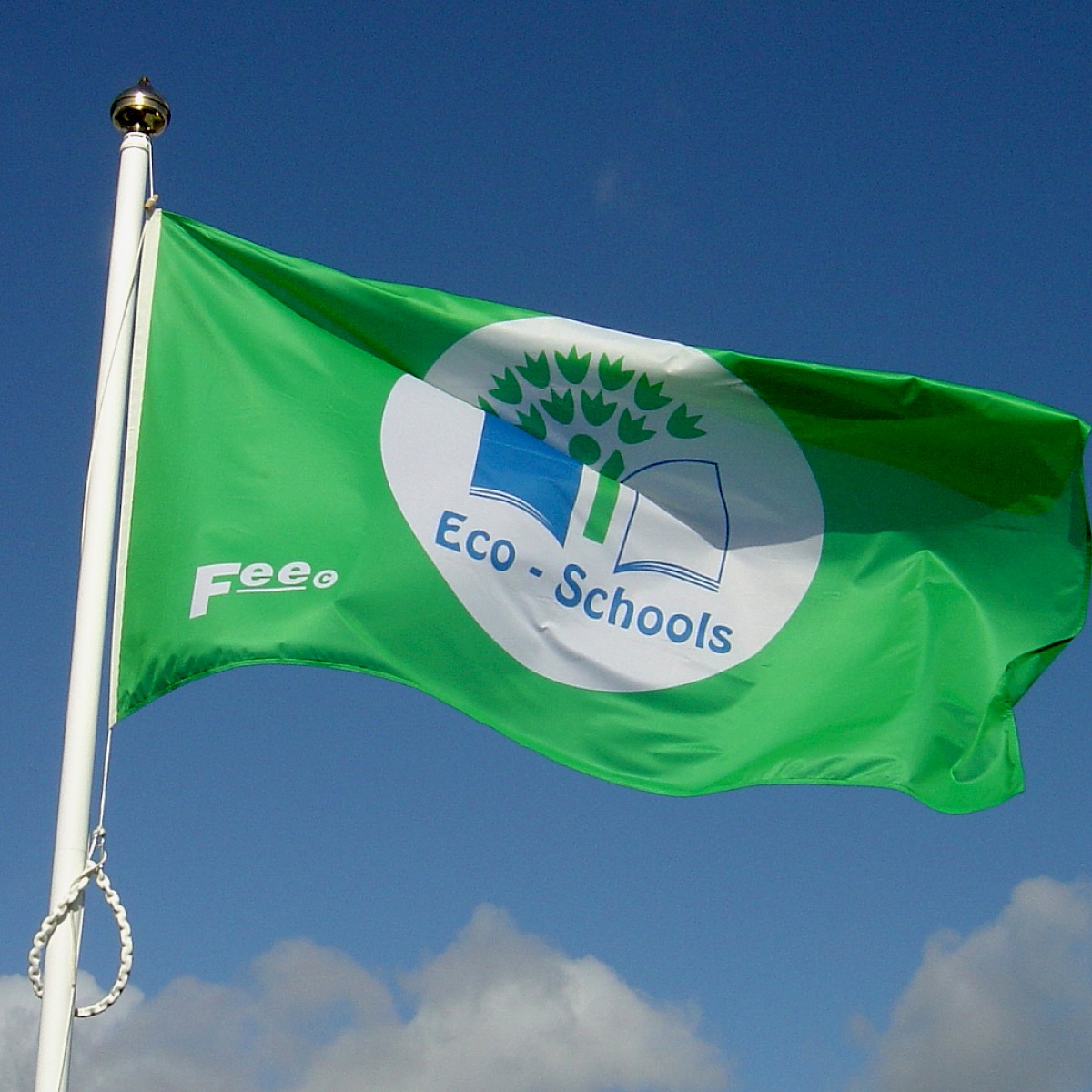 Ireland Green School flag